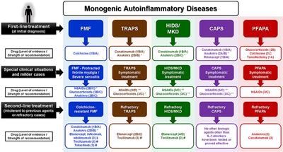 Current Therapeutic Options for the Main Monogenic Autoinflammatory Diseases and PFAPA Syndrome: Evidence-Based Approach and Proposal of a Practical Guide